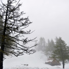 Schnee im Salzkammergut