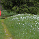 ABD0035-20130601.jpg