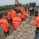 IBD0157-20130601.jpg