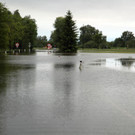 ABD0014-20130601.jpg