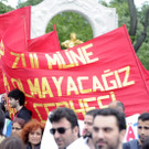 file6ac295vbgmv1g52mhk7.jpg
