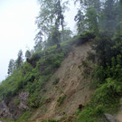 IMG_6275.JPG