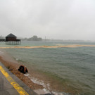 IMG_6312.JPG