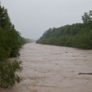 normal_02062013fmt_hochwasser_stadt_salzburg_mw-5.jpg