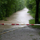 normal_02062013fmt_hochwasser_stadt_salzburg_mw-6.jpg