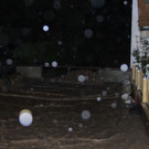 normal_02062013hwde01003aktivenws _5_.JPG