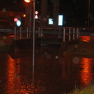 IMG_6389.JPG