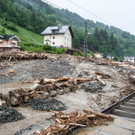 ABD0056-20130602.jpg