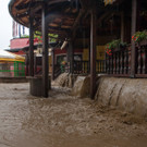 ABD0050-20130602.jpg