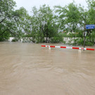 ABD0038-20130602.jpg