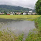  Wasserstand der Ill am 02.Juni 2013 