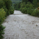 Hochwasser am 02_06_2013 Frutz_ Fr__disch_ Nafla 011_jpg-1370171616