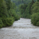Hochwasser am 02_06_2013 Frutz_ Fr__disch_ Nafla 013_jpg-1370171623