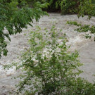 Hochwasser am 02_06_2013 Frutz_ Fr__disch_ Nafla 018_jpg-1370171639