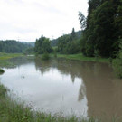 Hochwasser am 02_06_2013 Frutz_ Fr__disch_ Nafla 032_jpg-1370171701