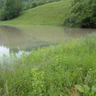 Hochwasser am 02_06_2013 Frutz_ Fr__disch_ Nafla 041_jpg-1370171741
