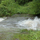 Hochwasser am 02_06_2013 Frutz_ Fr__disch_ Nafla 048_jpg-1370171796