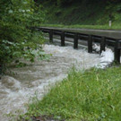 Hochwasser am 02_06_2013 Frutz_ Fr__disch_ Nafla 049_jpg-1370171802