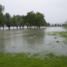 Hochwasser in Linz