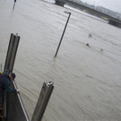 02062013hochwassersituationlinzat02005aktivnews _67_.JPG