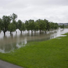 02062013hochwassersituationlinzat02005aktivnews _19_.JPG