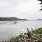 02062013hochwassersituationlinzat02005aktivnews _6_.JPG