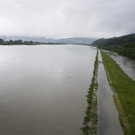 02062013hochwassersituationlinzat02005aktivnews _14_.JPG