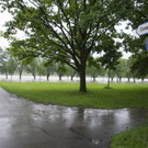02062013hochwassersituationlinzat02005aktivnews _34_.JPG