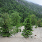02062013hochwasserat02007aktivnews03.jpg