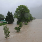 02062013hochwasserat02007aktivnews17.jpg