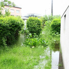 normal_02062013fmt_nonntal_ta_009.JPG