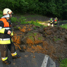 Murenabgang in Weiler