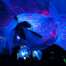 GLOBAL 2000 Tomorrow Festival 2013 in Zwentendorf: Auftritt der Fantastischen Vier