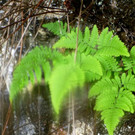 P1020499 _Large_.JPG