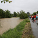 02062013hochwasserkolbermoorde04007aktivnews-18.JPG
