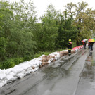 02062013hochwasserkolbermoorde04007aktivnews-1.JPG