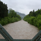 Hochwasser in Rankweil