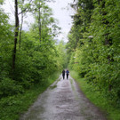 IMG_6871_jpg-1370177867