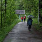 IMG_7172_jpg-1370177909