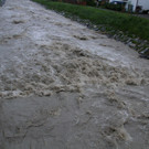 IMG_7239_jpg-1370177934