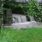 IMG_7295_jpg-1370177959