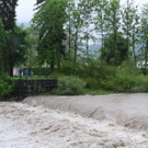 IMG_7486_jpg-1370178060