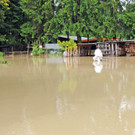 Hochwasser 02-06-2013 82_jpg-1370177839