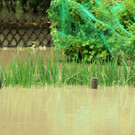 Hochwasser 02-06-2013 97_jpg-1370177894