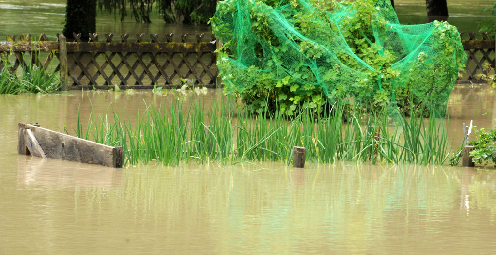 Hochwasser 02-06-2013 97_jpg-1370177894