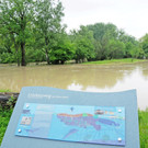 Hochwasser 02-06-2013 59_jpg-1370177774