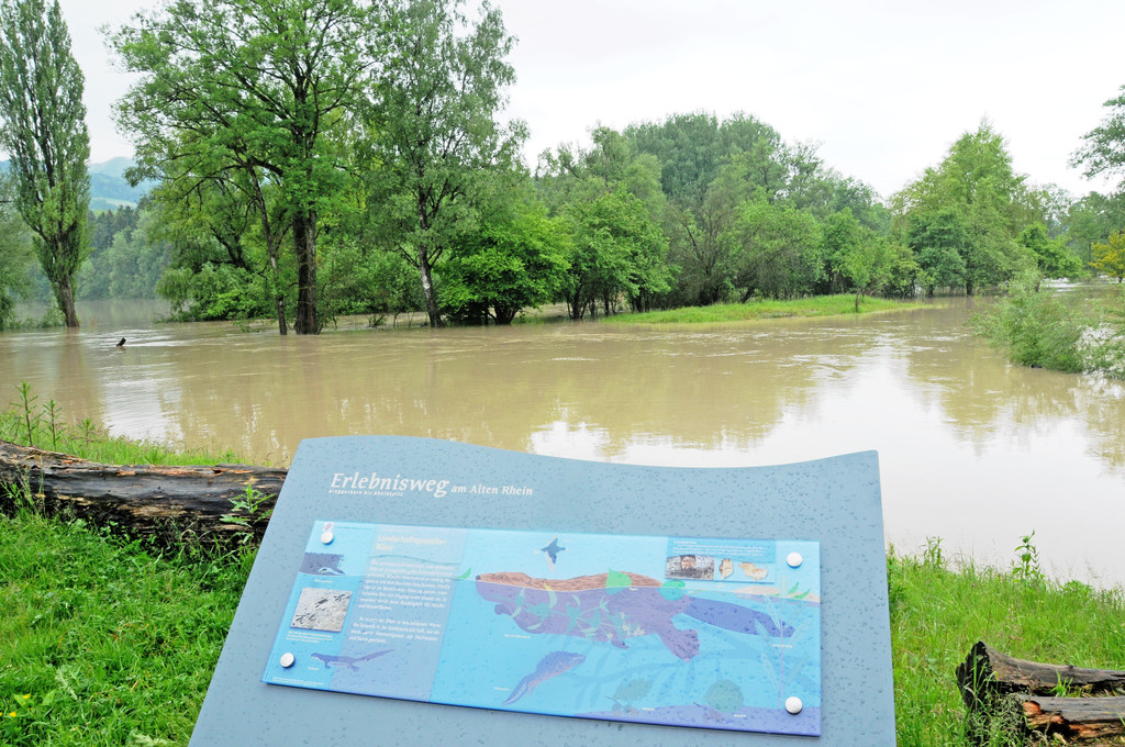 Hochwasser 02-06-2013 59_jpg-1370177774