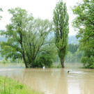 Hochwasser 02-06-2013 70_jpg-1370177791