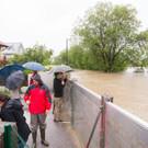 Hochwasser0206201316.jpg