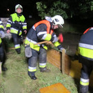 IMG_3981_JPG-1370178821